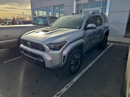 2025 Toyota 4Runner Fort Morgan CO