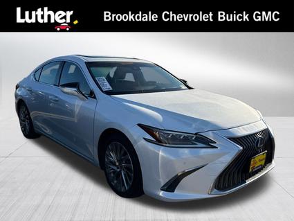 2019 Lexus ES 300h Minneapolis MN