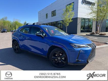 2021 Lexus UX 250h Louisville KY