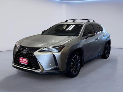 2019 Lexus UX 250h Dickinson ND