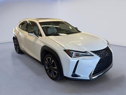 2019 Lexus UX 250h Brunswick OH