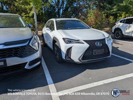 2019 Lexus UX 200 Vero Beach FL