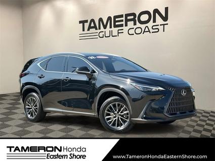 2022 Lexus NX 250 Daphne AL
