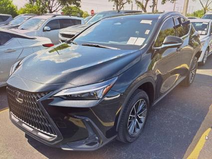 2022 Lexus NX 250 Daphne AL