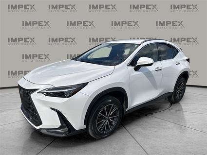 2023 Lexus NX 250 Greensboro NC