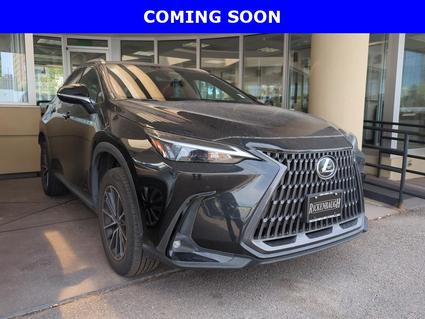 2022 Lexus NX 350 Denver CO