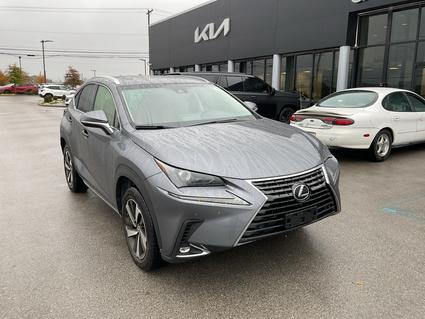 2018 Lexus NX 300 Nicholasville KY