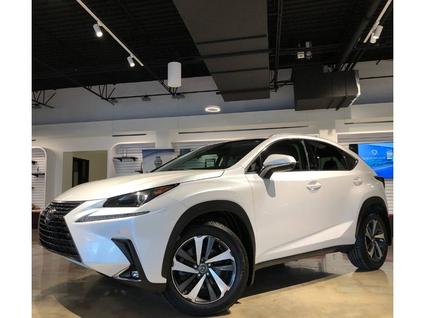 2018 Lexus NX 300 Birmingham AL