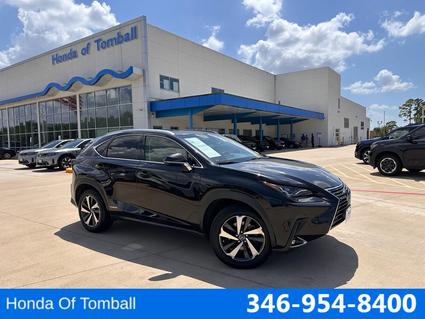 2018 Lexus NX 300h Tomball TX