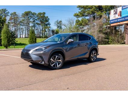 2020 Lexus NX 300 Hernando MS