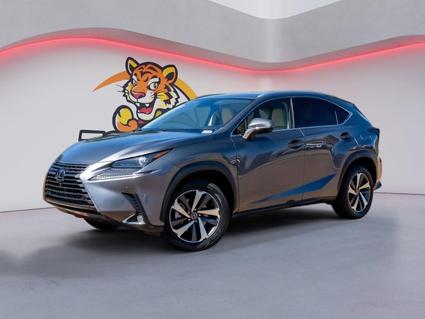 2020 Lexus NX 300 Hernando MS
