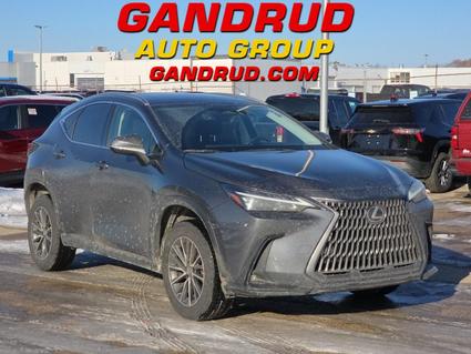 2022 Lexus NX 250 Green Bay WI