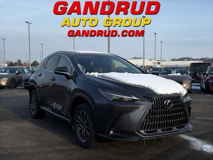 2022 Lexus NX 250 Green Bay WI
