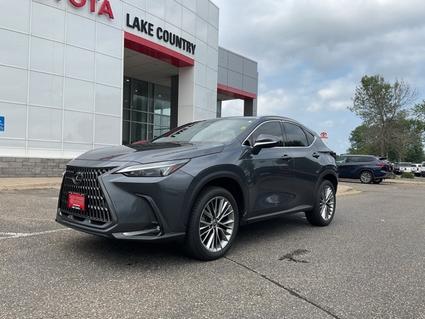 2022 Lexus NX 350 Brainerd MN