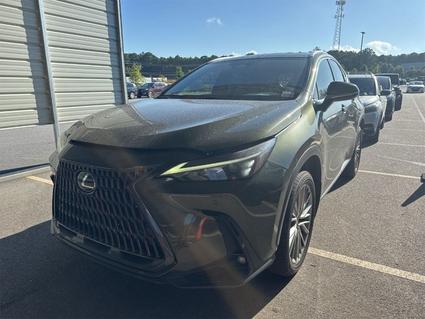 2022 Lexus NX 350 Murfreesboro TN