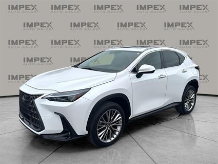 2022 Lexus NX 350h Greensboro NC