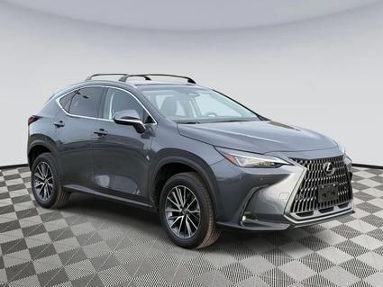 2024 Lexus NX 350h Chantilly VA