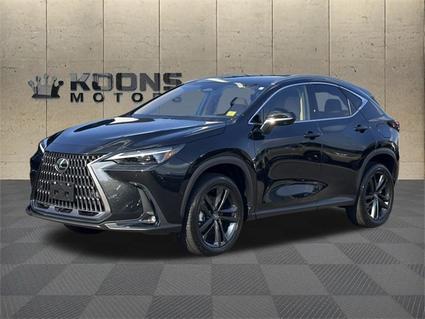 2024 Lexus NX 450h+