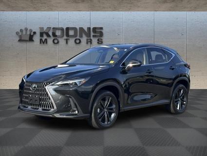 2024 Lexus NX 450h+  
