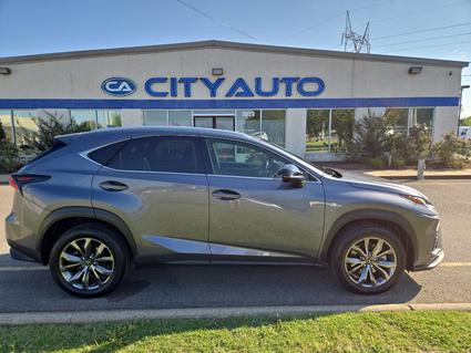 2020 Lexus NX 300 Murfreesboro TN
