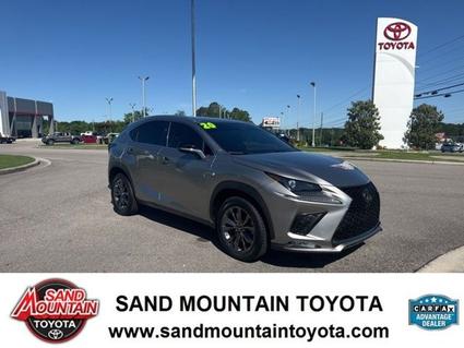 2020 Lexus NX 300 Albertville AL