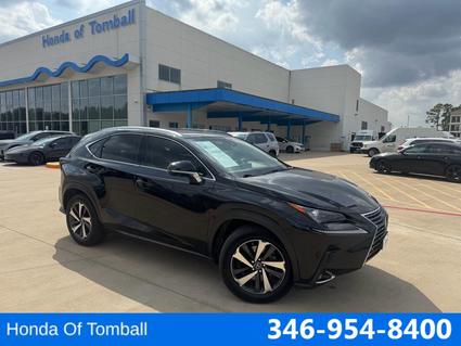 2019 Lexus NX 300 Tomball TX