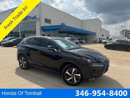 2019 Lexus NX 300 Tomball TX