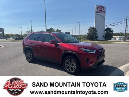 2025 Toyota RAV4 Hybrid Albertville AL