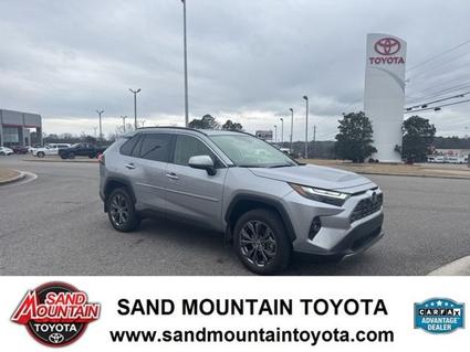 2025 Toyota RAV4 Hybrid Albertville AL