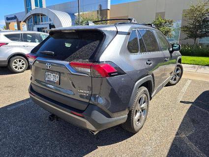 2019 Toyota RAV4 Loveland CO