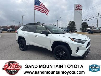 2023 Toyota RAV4 Hybrid Albertville AL