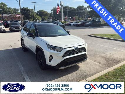 2019 Toyota RAV4 Louisville KY