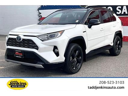 2020 Toyota RAV4 Blackfoot ID