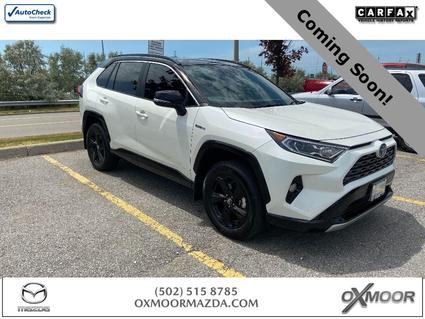 2020 Toyota RAV4 Louisville KY
