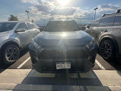 2019 Toyota RAV4 Loveland CO