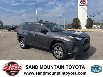2025 Toyota RAV4 Hybrid Albertville AL