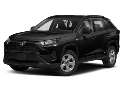 2019 Toyota RAV4 Minneapolis MN