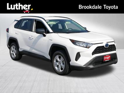 2019 Toyota RAV4 Minneapolis MN