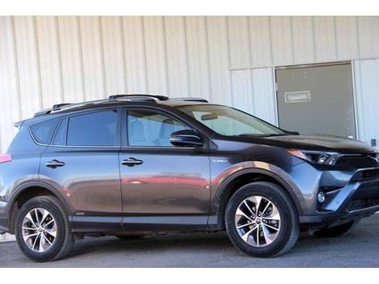 2017 Toyota RAV4 Lamar CO