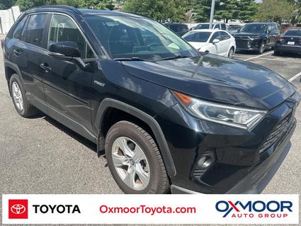 2019 Toyota RAV4 Louisville KY