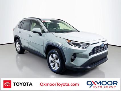 2019 Toyota RAV4 Louisville KY