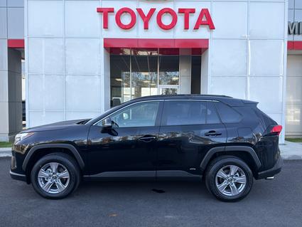 2025 Toyota RAV4 Hybrid Eureka CA
