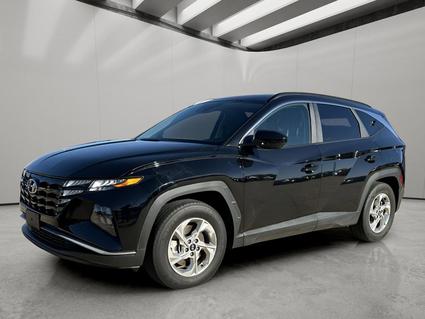 2024 Hyundai Tucson Katy TX