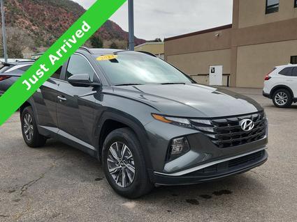 2024 Hyundai Tucson Hybrid Glenwood Springs CO