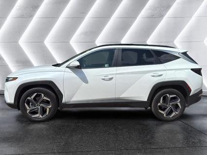 2024 Hyundai Tucson Hybrid Tuscumbia AL