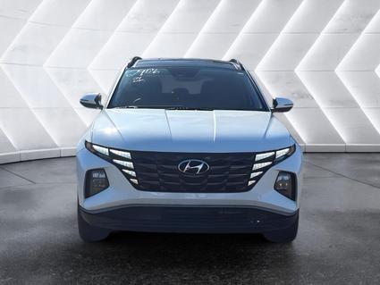 2024 Hyundai Tucson Hybrid Tuscumbia AL