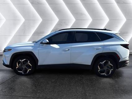 2024 Hyundai Tucson Hybrid Tuscumbia AL