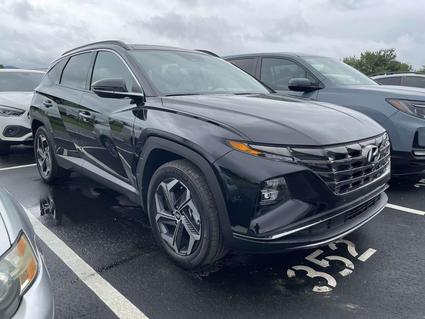 2024 Hyundai Tucson Hybrid Fletcher NC