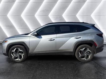 2024 Hyundai Tucson Hybrid Tuscumbia AL