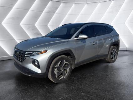 2024 Hyundai Tucson Hybrid Tuscumbia AL